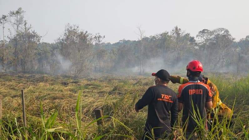 Kebakaran lahan yang terjadi di kawasan Samarinda Utara. (Foto: Tri/Pusaranmedia.com)