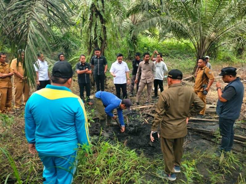 Anggota DPRD Paser pengecekan sedimentasi debu batu bara di area perkebunan akibat warga Desa KPJ, Kuaro. (Foto: Luthfi/Pusaranmedia.com)