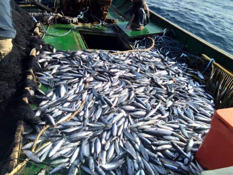 Potenai laut di Kaltara disebut harus dikembangkan tanpa mengabaikan kelestarian. (Foto: Istimewa)