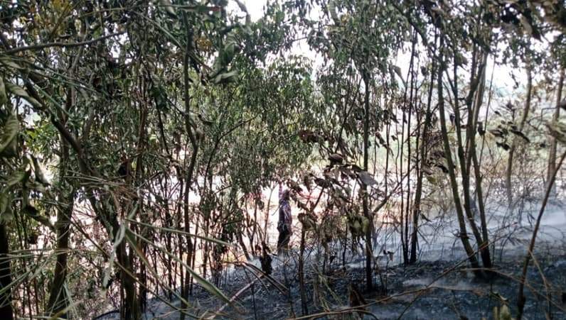 Kebakaran lahan terjadi di sekitar Jalan Tol KM 56/600, wilayah Teluk Dalam, Kecamatan Muara Jawa, Kabupaten Kutai Kartanegara (Kukar). (Foto: Damkar Samboja)