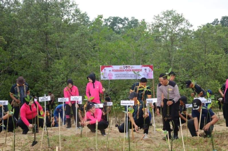 Polres PPU menanam mangrove untuk menjaga kelestarian lingkungan pesisir. (Foto: Huma Polres PPU)