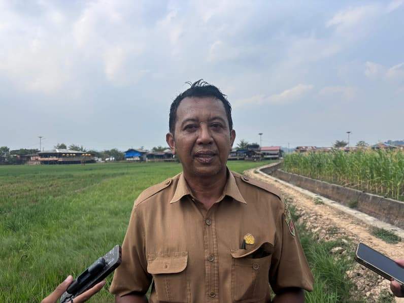 Plt Kepala Bidang Tanaman Pangan, Hortikultura, dan Perkebunan Dinas Ketapang Tani Kota Samarinda, Noke Pattipawaej. (Foto: Tri/Pusaranmedia.com)