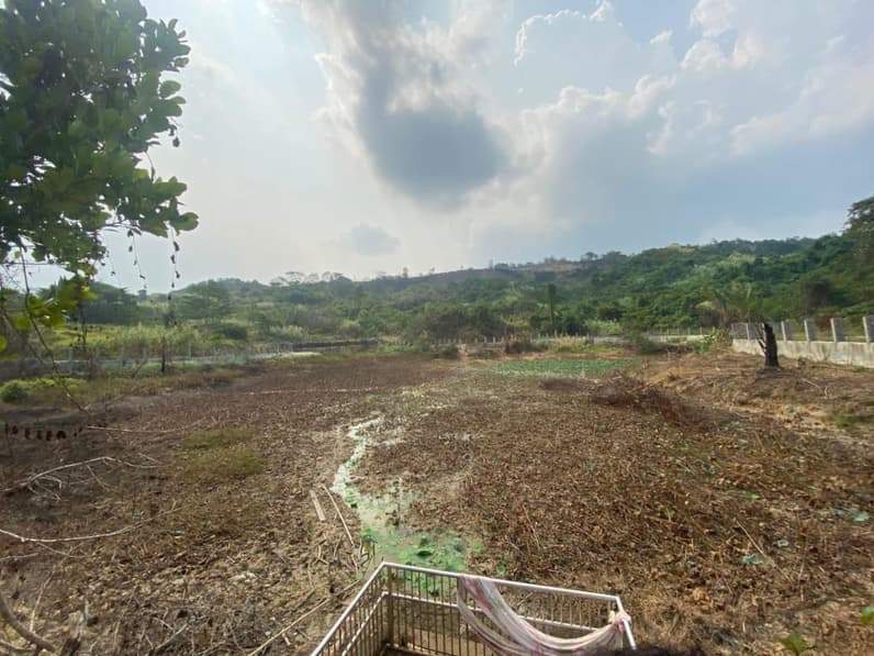 Bekas kolam buaya yang sebelumnya dikelola PT Samarinda Golden Prima (SGP) di Kelurahan Simpang Pasir, Kecamatan Palaran, Samarinda yang kini telah kosong. (Foto: Tri/Pusaranmedia.com)
