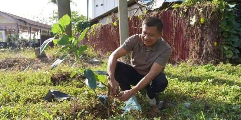 Dokumentasi salah satu ASN menanam pohon di sekitar kantor Sekretariat DPRD Paser. (Foto: Dok DPRD Paser)