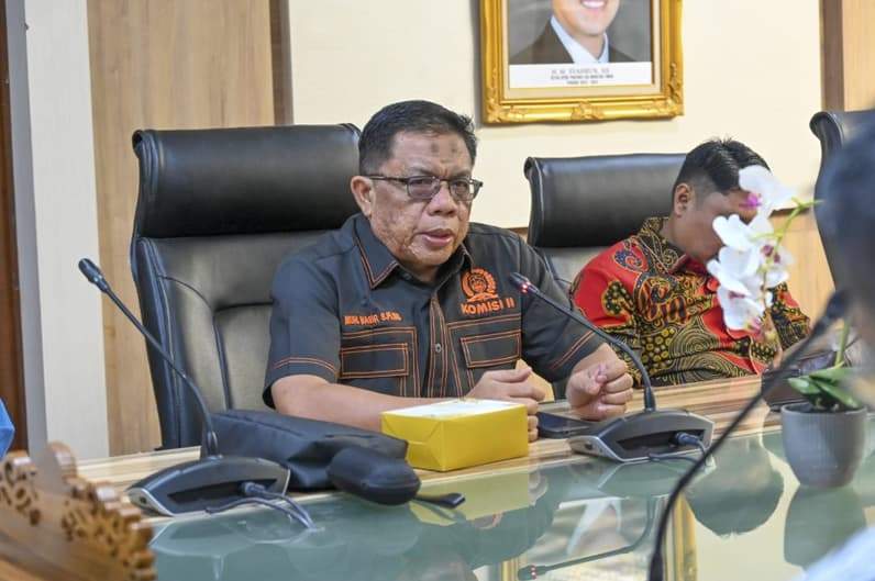 Wakil Ketua Pansus II DPRD Kalimantan Utara (Kaltara), Muhammad Nasir (Foto : Istimewa)