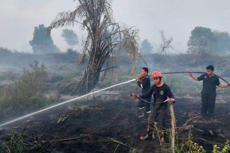 Proses pemadaman hutan dan lahan yang terbakar. (Foto: Istimewa)
