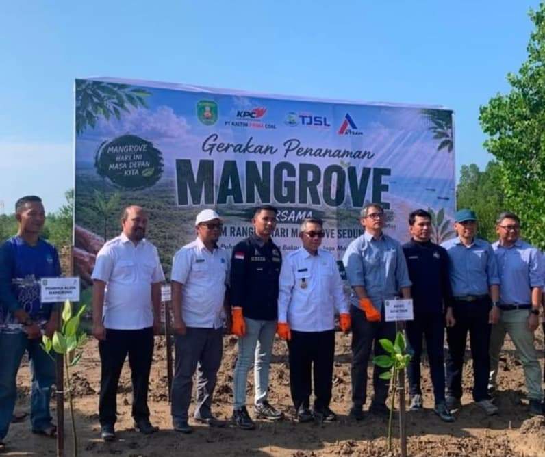 Suasana usai penanaman mangrove di Kutai Timur. (Foto: Dok Seputar Fakta)