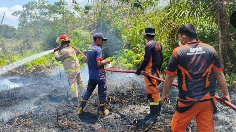 Hari kedua penanganan karhutla di kawasan lahan milik Badan Bank Tanah. (Foto: Pusdalops BPBD PPU)