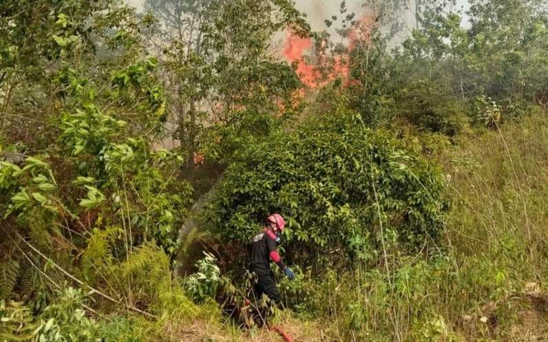 Kondisi Terbaru Kebakaran di Jalan Soekarno Hatta Kelurahan Bontang Lestari. (Foto: Lutfi Aziz/Pusaranmedia.com)