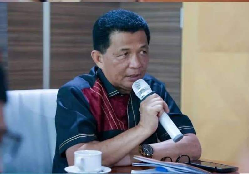 Wakil Ketua I DPRD Kaltara, Muhammad Nasir. (Foto: Istimewa)