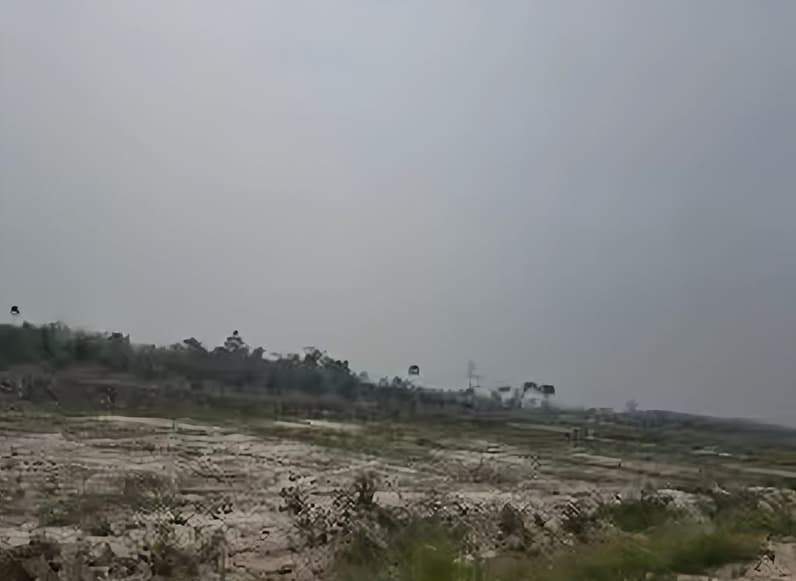Kondisi lahan pertanian di Kampung Semurut, Kecamatan Tabalar. (Foto: Dinas Pangan Berau)