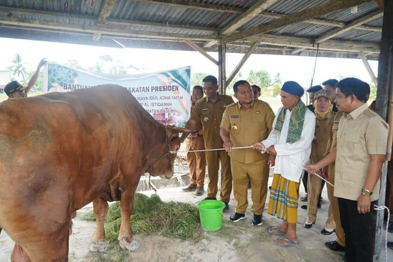 Bupati PPU, Mudyat Noor menyerahkan sapi kurban bantuan Presiden Prabowo di Desa Labangka Barat. (Foto: Humas Setkab PPU).