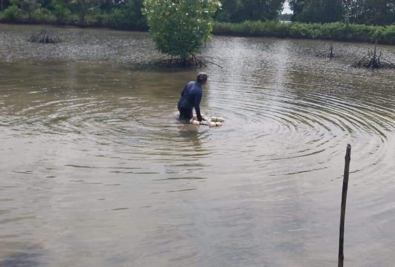 Areal Tambak di Desa Labangka, Kecamatan Babulu, Kabupaten PPU. (Foto: Adi Kade/Pusaranmedia.com)