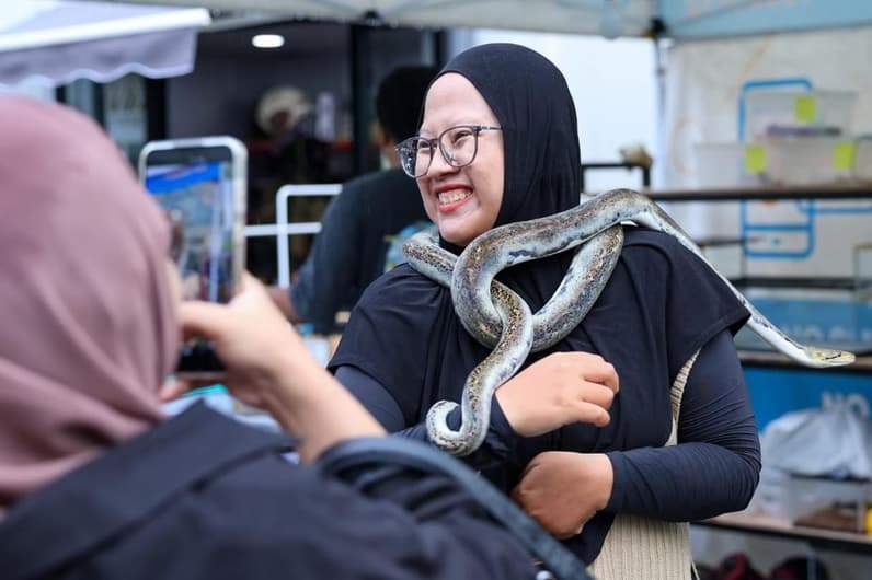 IKN Dipadati Pengunjung saat Libur Panjang, Pameran Reptil dan Aksi Tanam Pohon Jadi Daya Tarik