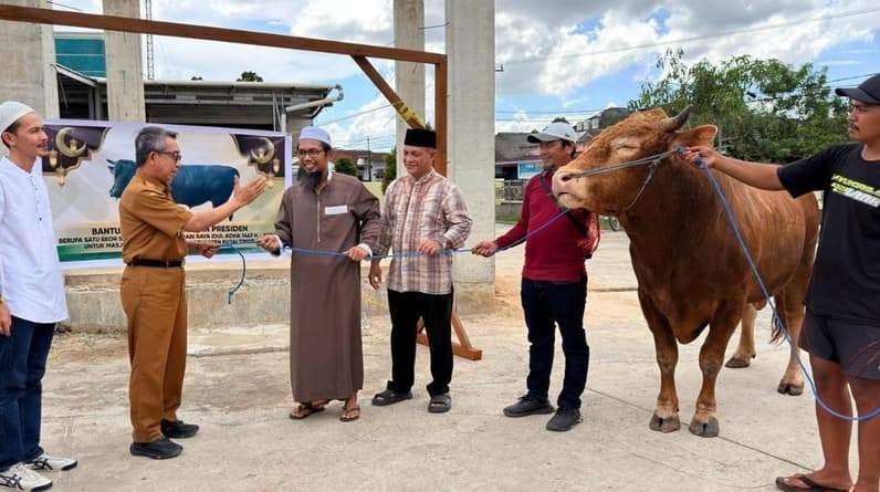 Bupati Kutim, Ardiansyah Sulaiman saat memberikan sapi kurban dengan berarti 950 dari bantuan Presiden RI, Prabowo Subianto. (Foto: Dok Prokopim Kutim)