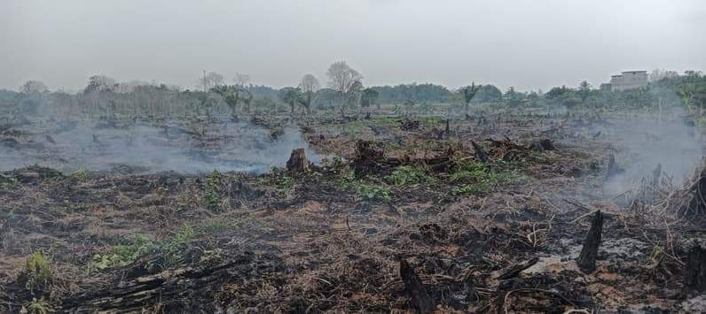 Kebakaran hutan dan lahan yang terjadi di wilayah Kecamatan Sepaku, PPU. (Foto: Pusdalops BPBD PPU).