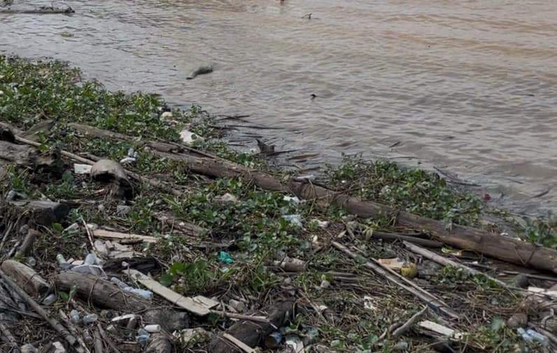 Sampah yang berada di pinggir Sungai Mahakam kawasan Teras Samarinda tahap II, Selasa (11/8/2026). (Foto: Tri/Pusaranmedia.com)