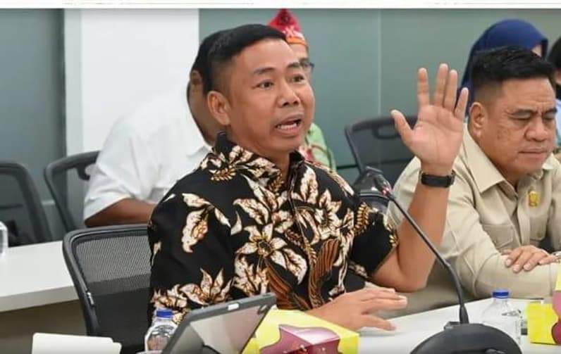 Wakil Ketua DPRD Kalimantan Utara (Kaltara), H Muddain (Foto : Istimewa)