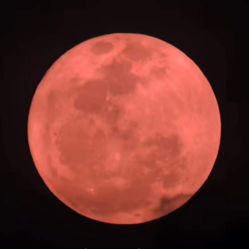 Wujud strawberry moon. (Foto: Bima Nasution/Netizen)