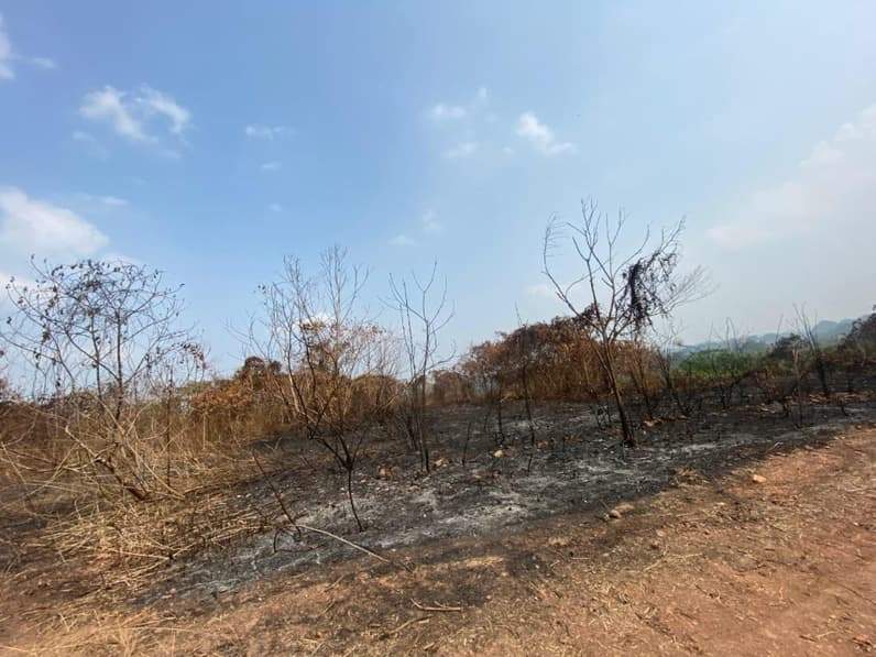 Kebakaran lahan di kawasan Simpang Pasir, Palaran, Kota Samarinda. (Foto: Tri/Pusaranmedia.com)