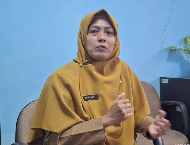 Kabid UMKM pada DKUKMPP Nunukan Mardiana (Foto: Diansyah/pusaranmedia.com)