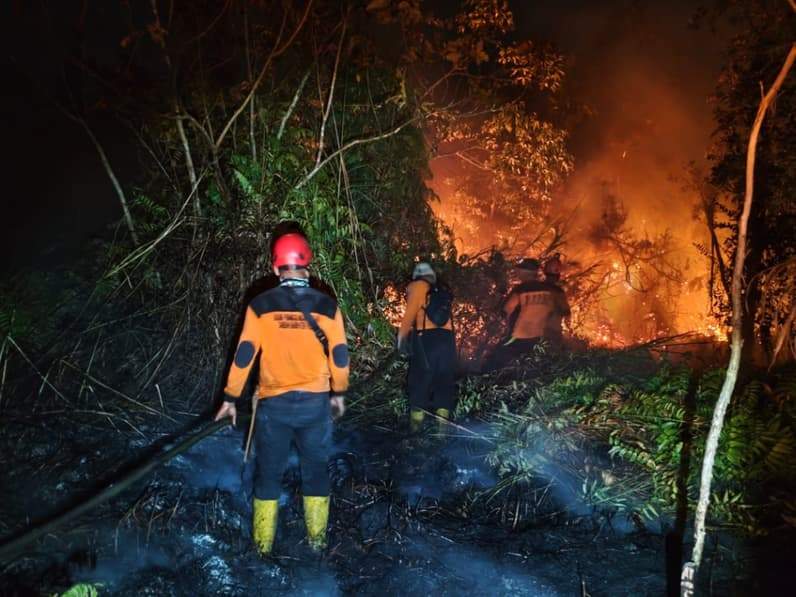 Saat proses pemadaman salah satu titik karhutla di Paser. (Foto : Dok BPBD Paser)