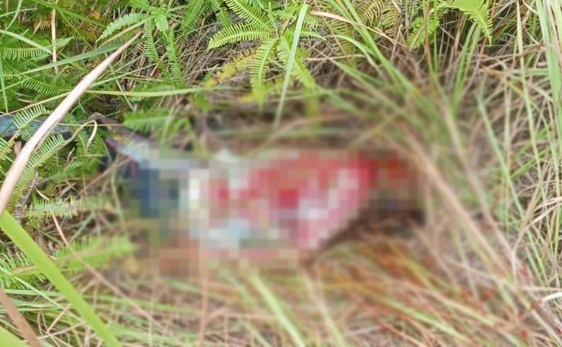Terlihat anak di semak-semak berlumuran darah di Desa Tanjung Labu, Kecamatan Rantau Pulung, Kutai Timur. (Foto: Dok.Masyarakat Rantau Pulung)