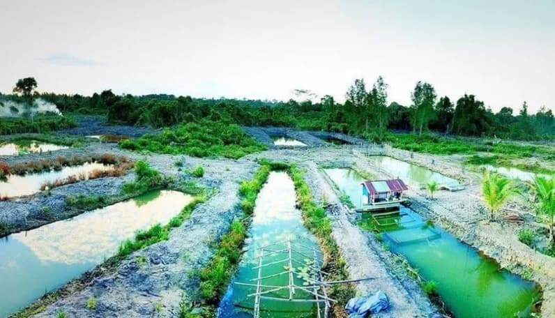 Kolam budi daya ikan di Kampung Batu-Batu, Kabupaten Berau. (Foto: Kampung Batu Batu)