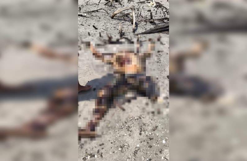Mayat ditemukan di Teluk Prancis Sangatta Kutai Timur. (Foto: Dok.Polres Kutim)