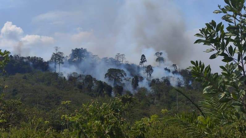 Sekitar 20 hektare lahan terbakar di Desa Tengin Baru, kawasan Ibu Kota Nusantara. (Foto: Pusdalops BPBD PPU).
