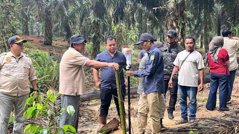 Area perkebunan Kelapa Sawit di Kecamatan Rantau Pulung, Kabupaten Kutai Timur. (Foto: Dok Aliansi Masyarakat Rantau Pulung Menggugat)
