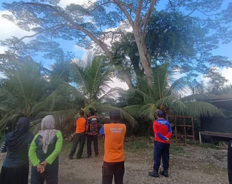 BPBD PPU saat melakukan pengecekan pohon rawan tumbang di Kelurahan Sotek, Kecamatan Penajam, Sabtu (20/6/2026). (Foto: Pusdalops BPBD PPU).
