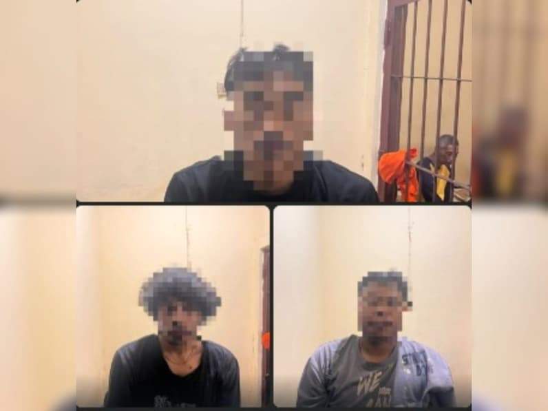 Tiga Pencuri Fasilitas Pos Duga Air di Sepaku Diamankan Polisi