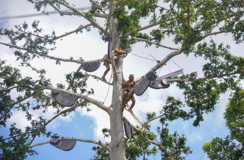 Foto Panen Madu Tradisional yang menjadi juara di lomba fotografi Diskominfo Berau. (Foto: Diskominfo Berau)