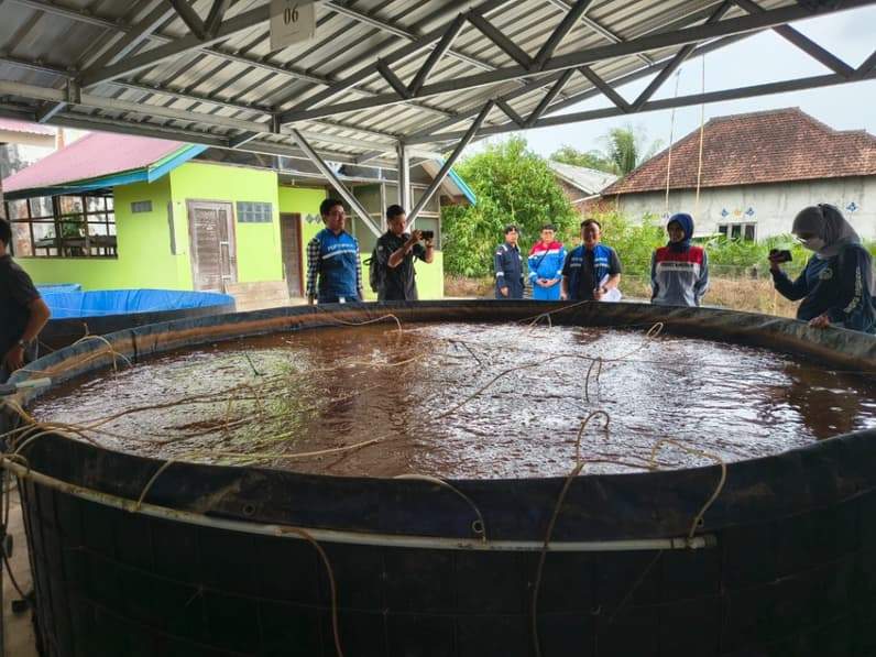 Kalam bioflok yang dikelola Pokdakan Biawan di Desa Sebakung Jaya, Kecamatan Babulu, PPU. (Foto: Adi Kade/Pusaranmedia.com)