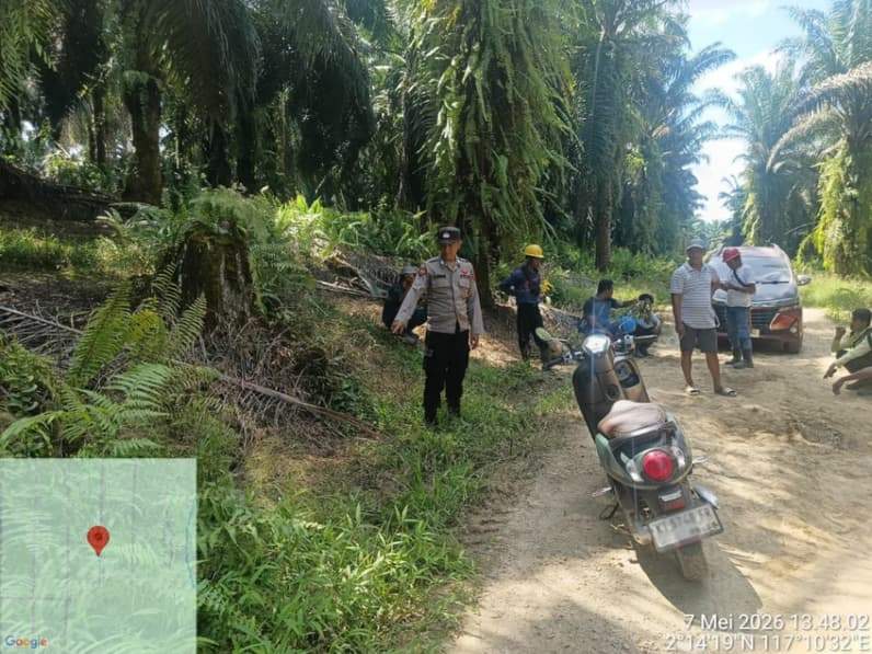 Lokasi dugaan penganiayaan yang terjadi di area perkebunan PT HHM, Kampung Gunung Sari, Kecamatan Segah, Kamis (7/5/2026). (Foto: Humas Polres Berau)