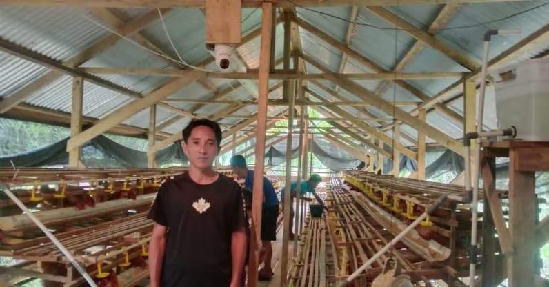 Kepala Desa Liuk Bulu, Acong saat meninjau peternakan ayam bertelur milik BUMDes Liuk Bulu yang sudah berproduksi (Foto: Desa Liuk Bulu)