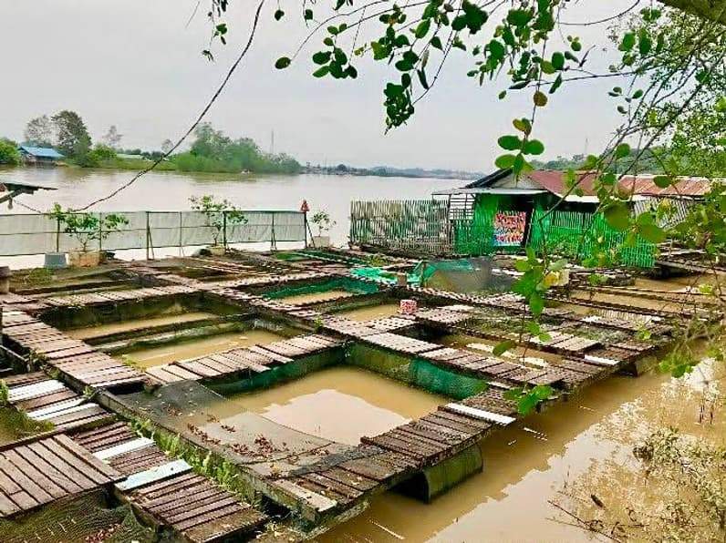 Tambak Ikan Berau. (Foto: Nur Hidayah/ pusaranmedia.com)