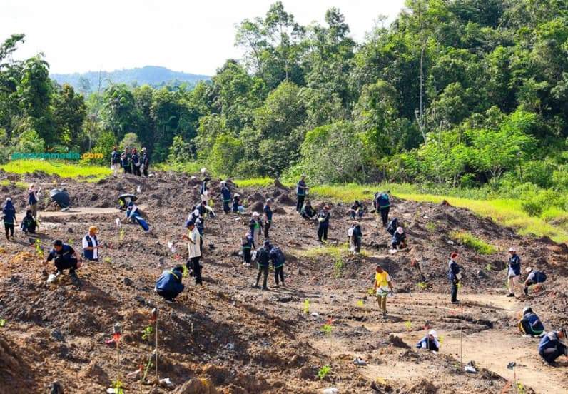 Lokasi eks tambang ilegal di kawasan Tahura Bukit Soeharto. (Foto: Achmad Fadillah/Pusaranmedia.com)