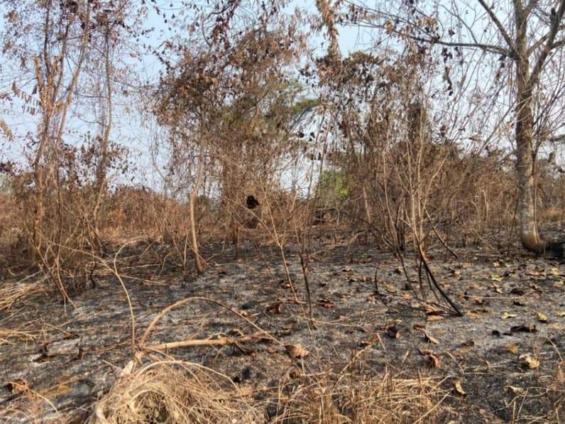 Kebakaran lahan di Kecamatan Palaran, Kota Samarinda. (Foto: Tri/Pusaranmedia.com)