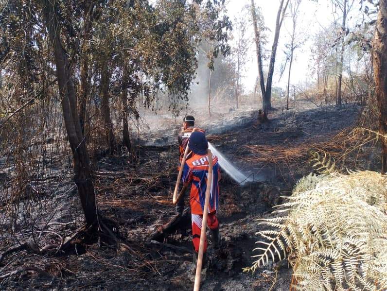 Tim gabungan melakukan proses pendinginan di hari kedua penanganan lahan gambut yang terbakar di Kelurahan Gunung Seteleng. (Foto: Pusdalops BPBD PPU).
