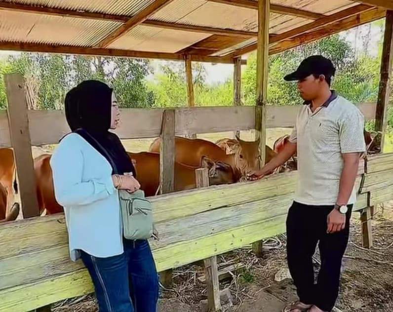 Penyerahan hibah sapi ternak di kampung Biatan Ilir. (Foto: DTPHP Kabupaten Berau)