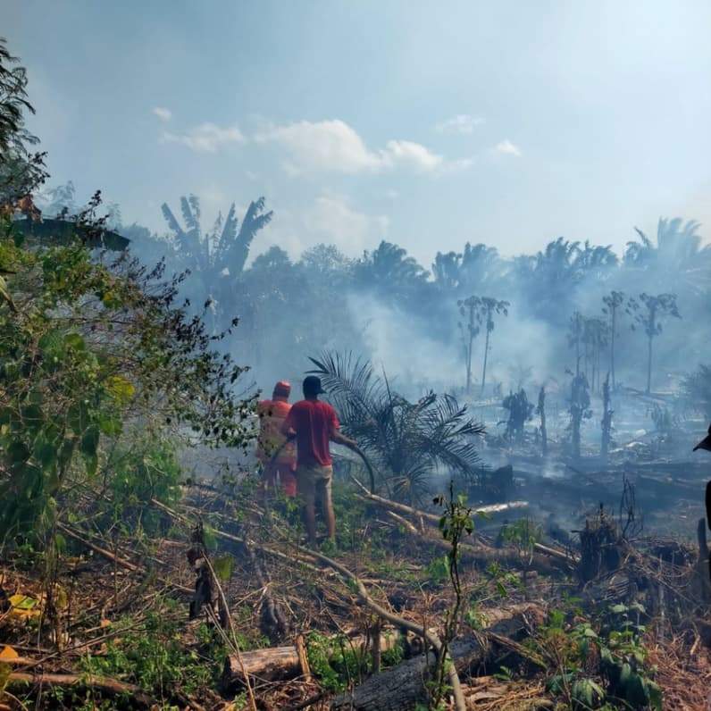 Petugas melakukan pemadaman kebakaran hutan dan lahan (Karhutla) di kawasan Kabupaten Berau. (Foto: Istimewa)