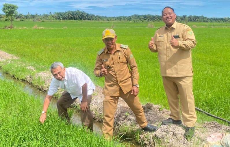Asisten I Setkab PPU, Nicko Herlambang (kanan) saat meninjau uji caba penanaman benih padi Gamagora-7 di Desa Sidorejo. (Foto: Istimewa)
