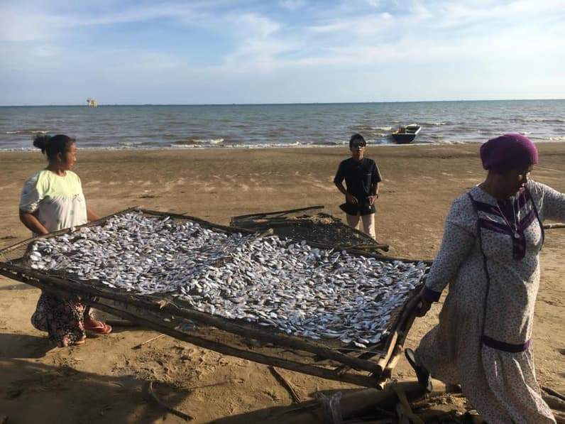 Ini salah satu ikan rucah hasil tangkapan nelayan di Kelurahan Pejala, Kecamatan Penajam, PPU. (Foto: Adi Kade/Pusaranmedia.com).