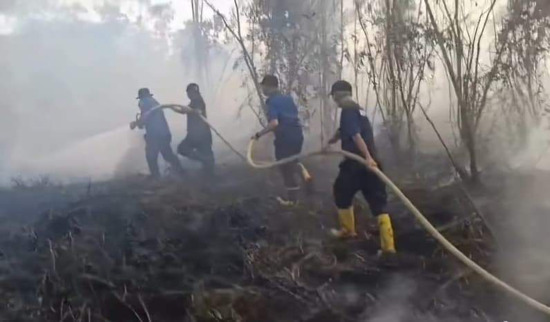 Tim gabungan BPBD, relawan, dan instansi terkait terus melakukan penanganan titik api di sejumlah wilayah Kaltim. (Foto: BPBD Kaltim).