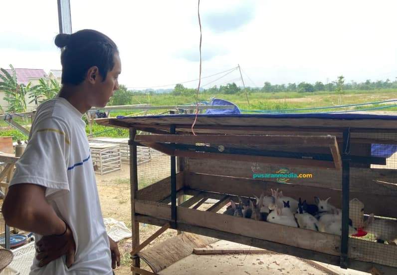 Andre Kawaru, warga Simpang Pasir, Kecamatan Palaran, Kota Samarinda saat mengurus kelinci-kelincinya sebelum dibawa ke pasar malam, Jumat (21/8/2026). (Foto: Tri/Pusaranmedia.com)