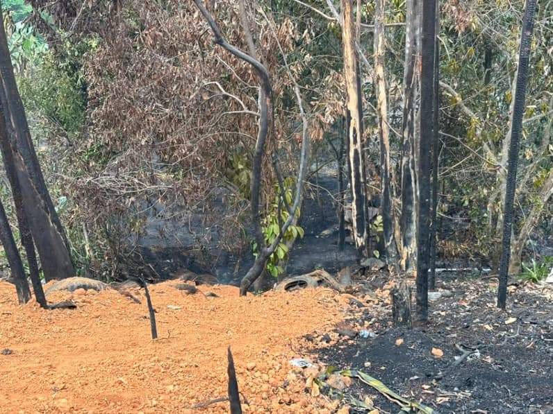 Kebakaran hutan diwilayah Kilometer 9-10 Jalan Poros Tenggarong-Samarinda, Kecamatan Tenggarong Seberang, Kutai Kartanegara (Kukar) (Foto: Aswin/pusaranmedia.com)