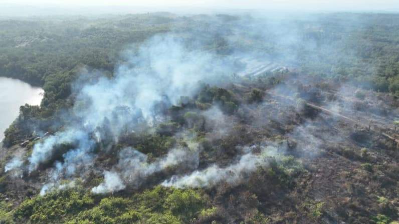 Kebakaran hutan dan lahan seluas 10,65 Ha di Kelurahan Sepan, Kecamatan Penajam, PPU tengah dalam proses pendinginan. (Foto: Pusdalops BPBD PPU)