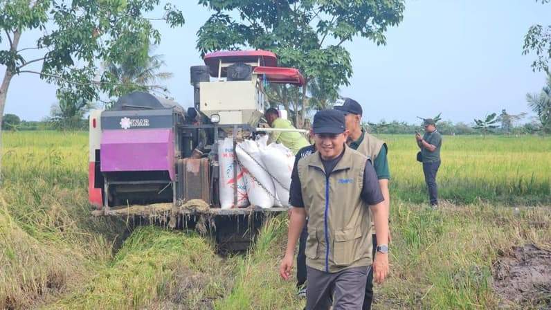 Kancab Bulog Paser-PPU tengah menyerap gabah petani di Kabupaten Paser. (Foto: Dok.Kancab Bulog Paser-PPU)